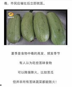 湖南吃瓜王,揭秘湘菜界的“瓜王”传奇