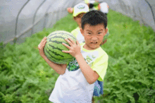 楼教练吃瓜,揭秘娱乐圈幕后故事