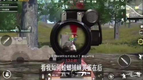 呆瓜女生打吃鸡,呆瓜女生与欢乐战场的故事