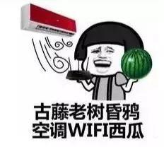 吃瓜吃不完咋办,如何应对吃不完的甜蜜烦恼？