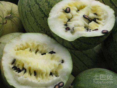 吃籽瓜缺点,口感与营养的权衡之谜