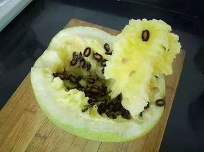 吃籽瓜缺点,口感与营养的权衡之谜