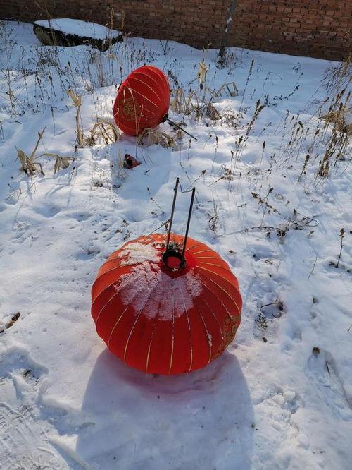 理智吃瓜的背景,揭秘网络舆论背后的真相与智慧