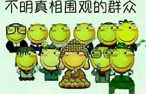 大蛙吃瓜群众,揭秘网络舆论场的奇观现象