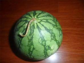 吃瓜的老梦,揭秘娱乐圈背后的秘密与真相