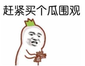 别吃瓜了什么瓜都吃只会害了你,别吃瓜了，什么瓜都吃只会害了你