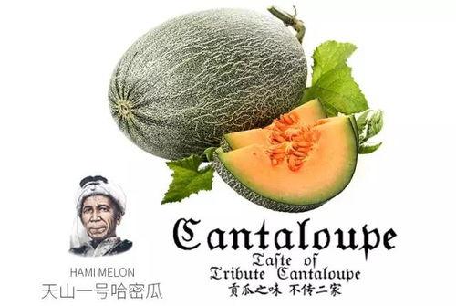 太原吃瓜公众号,揭秘本地美食圈那些事儿