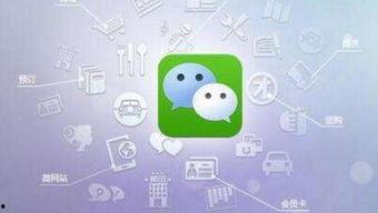 小程序吃瓜指引者,小程序“吃瓜指引者”带你畅游娱乐圈