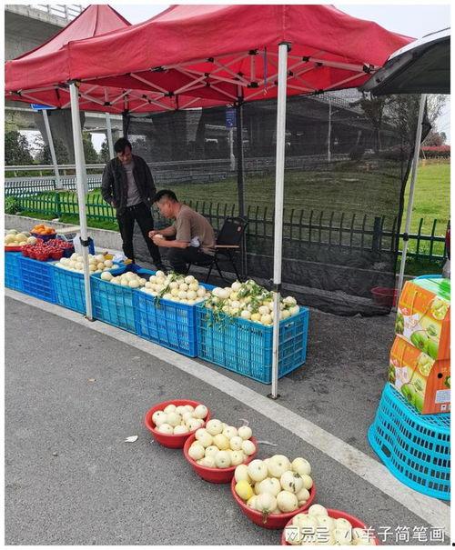 温州学子广场吃瓜,瓜香四溢，青春盛宴