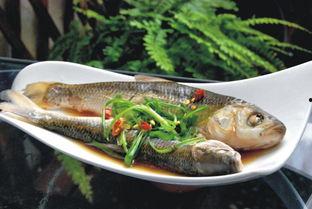 清鱼吃瓜,揭秘网络热点的幕后故事