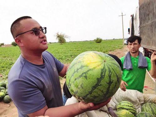 修理工吃瓜,一场意外引发的欢乐盛宴