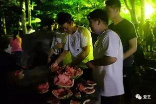 校园吃瓜事件文章,揭秘背后真相与热议焦点