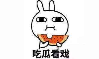 校园吃瓜事件文章,揭秘背后真相与热议焦点