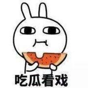 最近网上吃瓜表情,吃瓜表情背后的趣味与思考