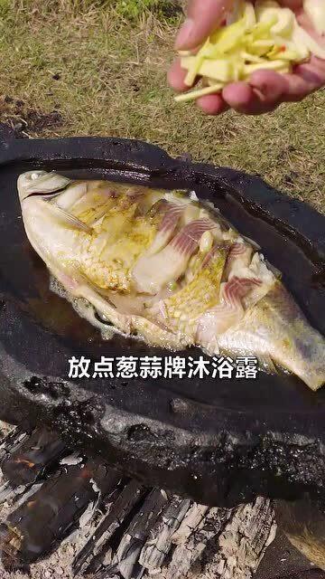 吃瓜用鱼,一场别开生面的“吃瓜”盛宴