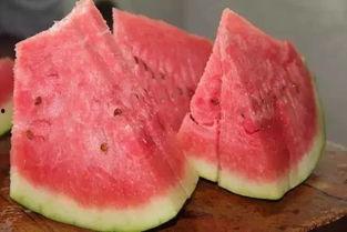 西瓜只吃石头瓜,揭秘西瓜中的神秘果实