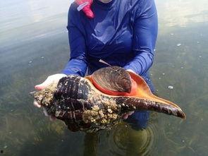 海边吃瓜直播间吃爆头,惊现爆头瞬间！