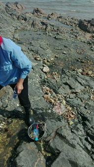 海边吃瓜直播间吃爆头,惊现爆头瞬间！