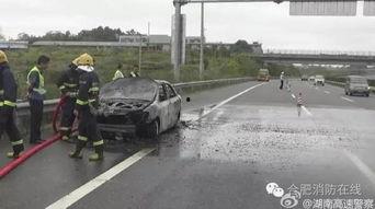 深圳吃瓜群众怎么处罚,深圳“吃瓜群众”违规行为处罚一览