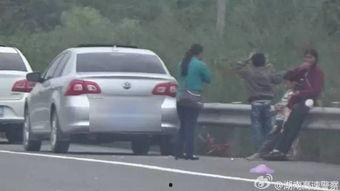 深圳吃瓜群众怎么处罚,深圳“吃瓜群众”违规行为处罚一览