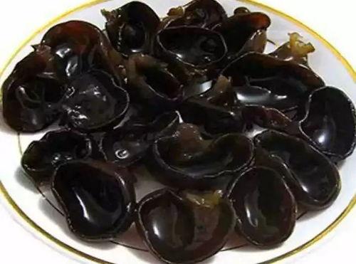 黑色玫瑰吃瓜薄荷