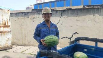 快乐吃瓜群众演员,揭秘影视圈幕后演员们的欢乐时光