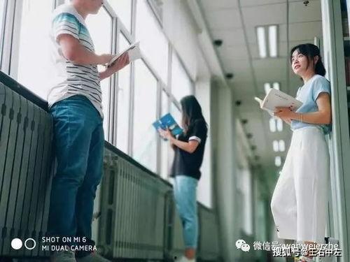 岱宗吃瓜,揭秘娱乐圈的甜蜜瓜田