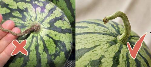 周五吃瓜合集,盘点本周热门事件与幕后真相