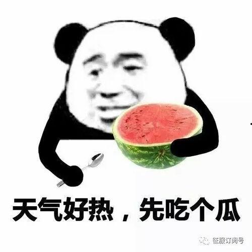 吃瓜专用系列网名,揭秘吃瓜专用系列网名的趣味与魅力