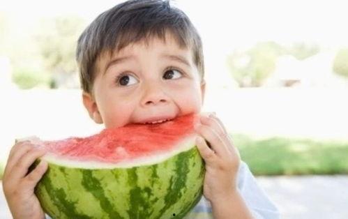 吃瓜专用系列网名,揭秘吃瓜专用系列网名的趣味与魅力