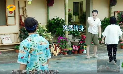 吃瓜天津事件真相,真相与背后的社会现象