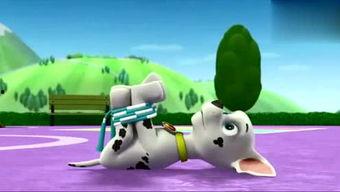 娱乐吃瓜君汪汪