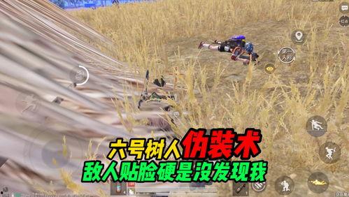 军需白色跳舞吃瓜,一场别开生面的跳舞吃瓜盛宴