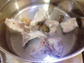 鱼翅瓜叶子怎样吃,创意烹饪新尝试