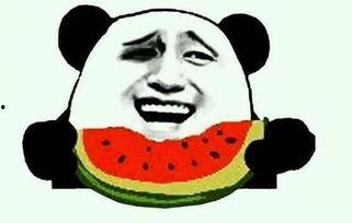 刘海柱吃瓜,揭秘娱乐圈背后的秘密与真相