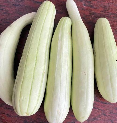 夏天吃白瓜,白瓜美食之旅