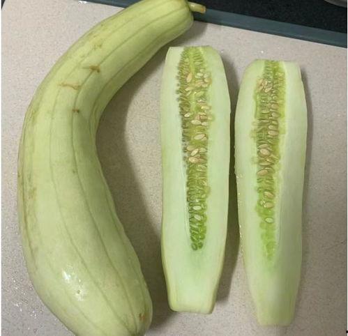 夏天吃白瓜,白瓜美食之旅