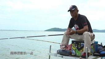 带你吃瓜钓鱼视频下载