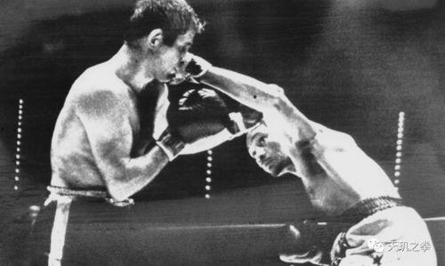 吃瓜大拿,吃瓜大拿带你领略幕后风云