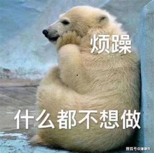 群众自然吃瓜图片,夏日悠闲生活剪影