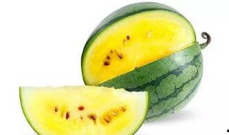 潍坊西城吃瓜情报社,吃瓜情报社带你探秘街头美食风云