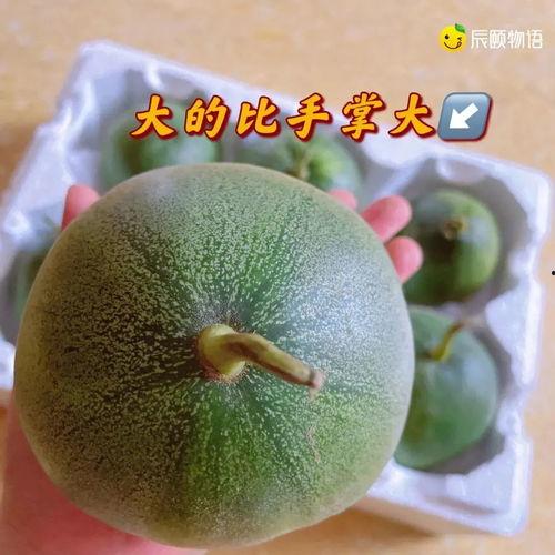 蓝宝石瓜怎么吃,解锁美味新体验