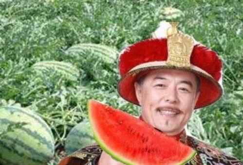 乾隆吃瓜