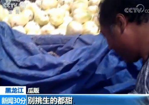 呱呱请你吃瓜
