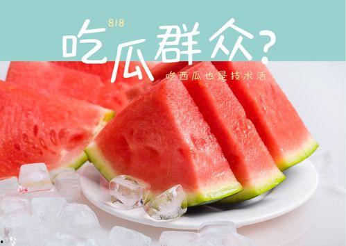 专业吃瓜礼盒,揭秘年度热门礼盒