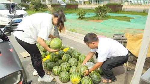 元灵吃瓜