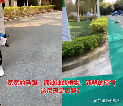 围栏杆吃瓜事件