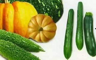 吃瓜变帅,揭秘美食与颜值的秘密