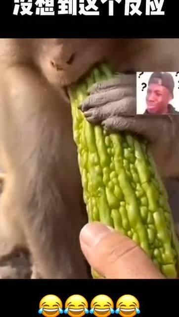 朋友吃瓜反应