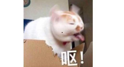 拆盒吃瓜,揭秘娱乐圈幕后故事